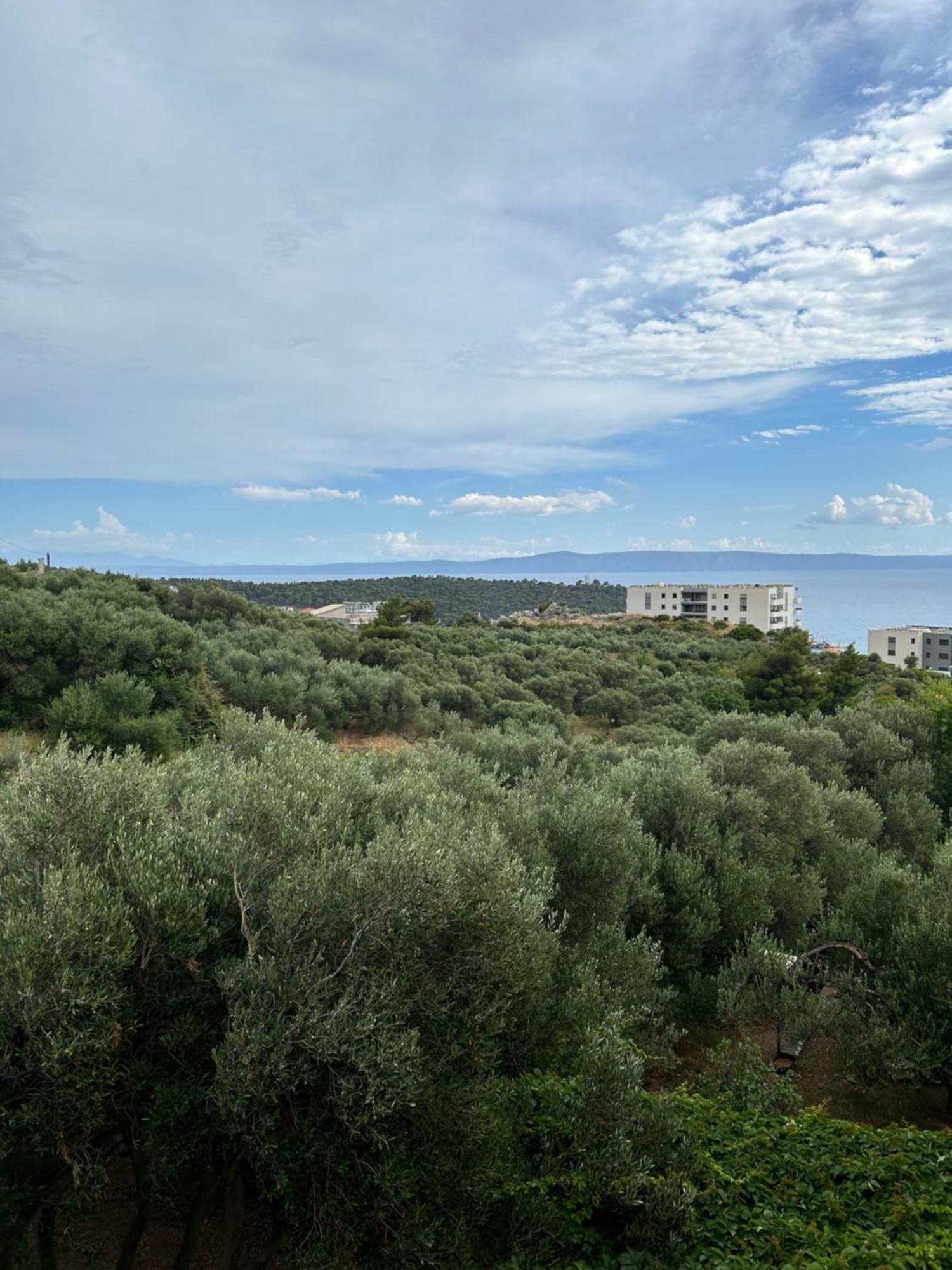 Apartment Mileta Makarska Exterior foto